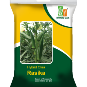 Hybrid Okra - Rasika